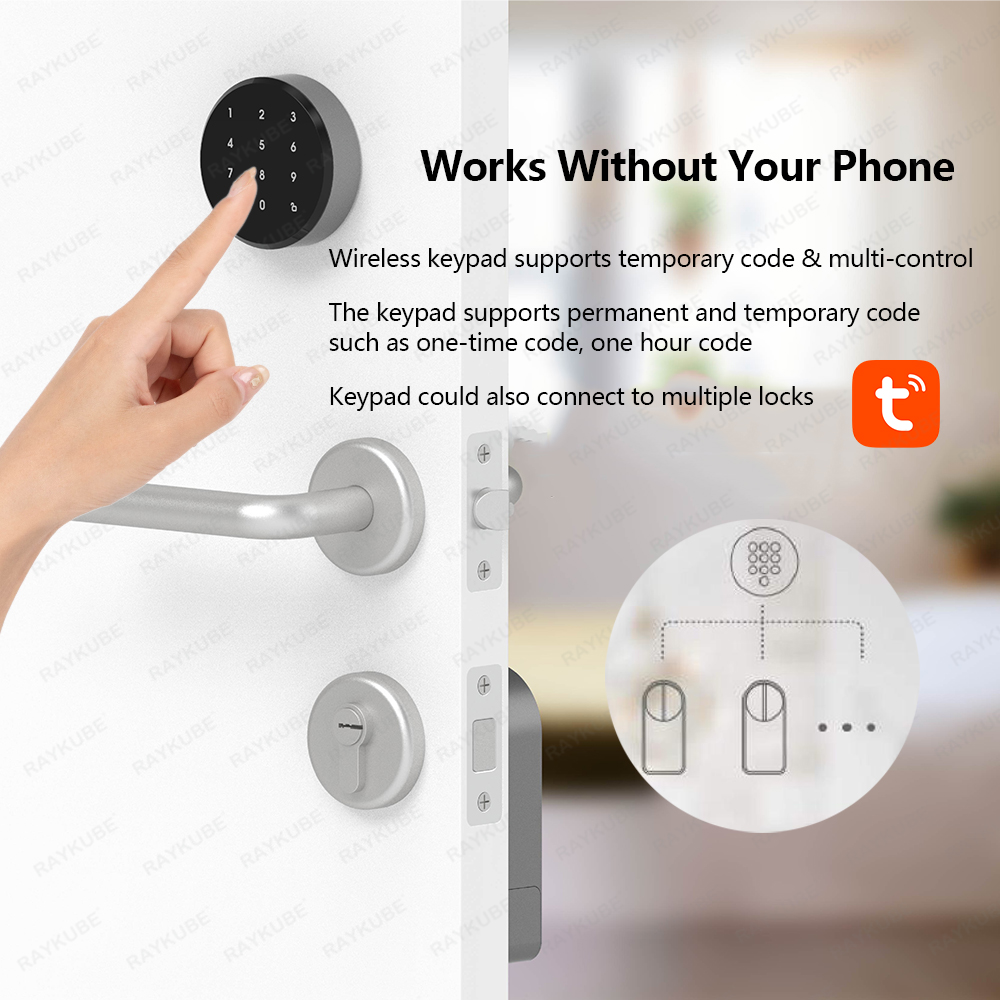 RAYKUBE A1 Pro Tuya BEL 스마트 전자 - Smart Door Lock Wifi 리뷰 및 가격