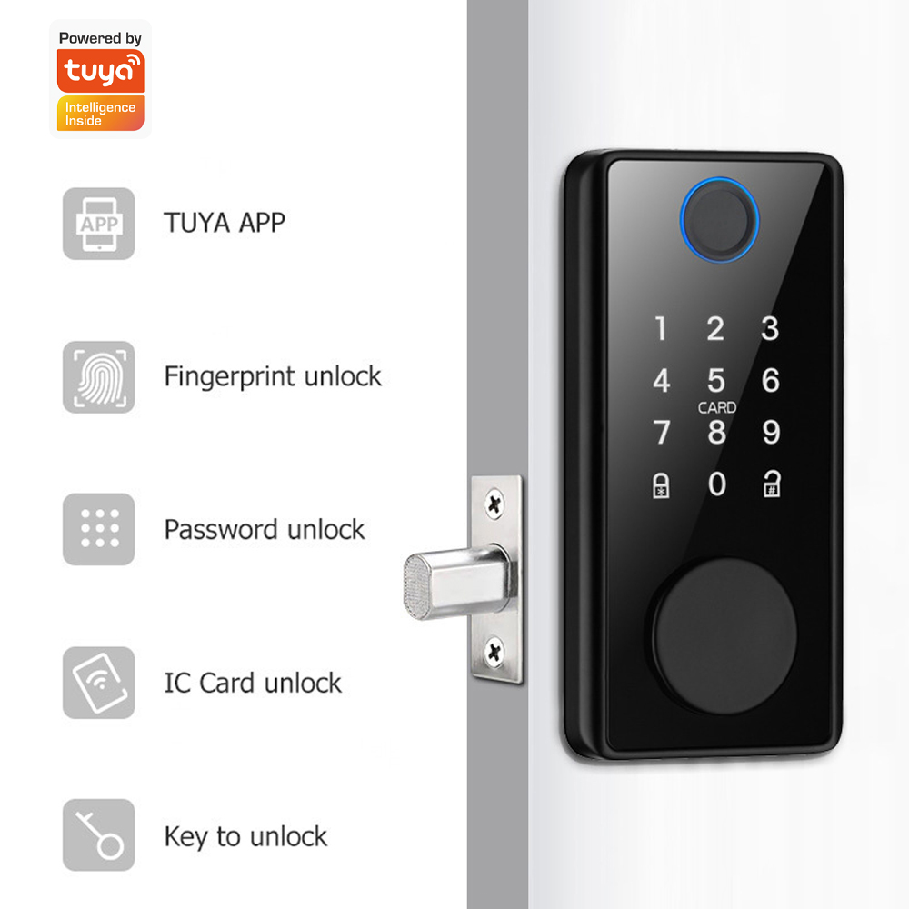 투야(Tuya) 앱을 통한 원격 제어 기능이 있는 도어 - Smart Door Lock Wifi 리뷰 및 가격