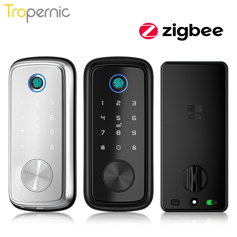 투야 지그비 문짝 데드볼트 잠금, 생체 인식 지문 잠금 - Smart Door Lock Wifi 리뷰 및 가격